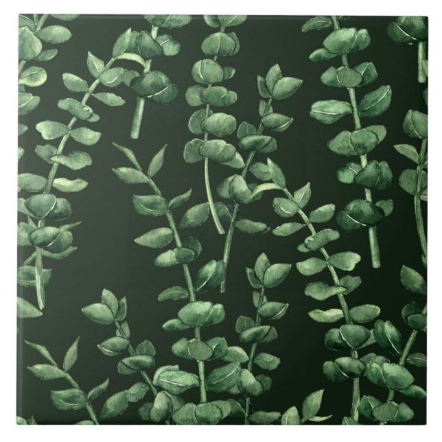 Eucalipto 2 (Frente)