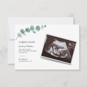 Eucalipto Gravidez Anúncio Menina Revelação de Beb