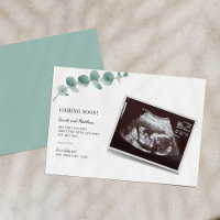 Eucalyptus Gravidez Anúncio da Revenda do Bebê