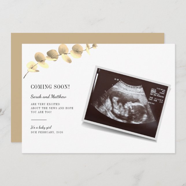 Eucalyptus Gravidez Anúncio Revolução do Bebê (Frente/Verso)