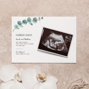 Eucalyptus Gravidez Anúncio Revolução do Bebê