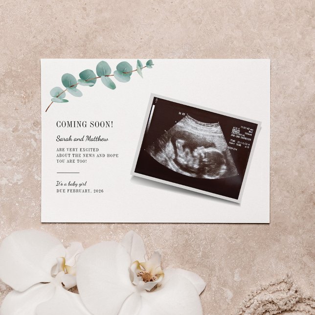 Eucalyptus Gravidez Anúncio Revolução do Bebê (Criador carregado)