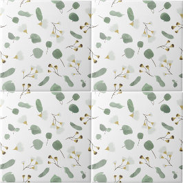 Eucalyptus Greenery Glossomas de Goma Dólar