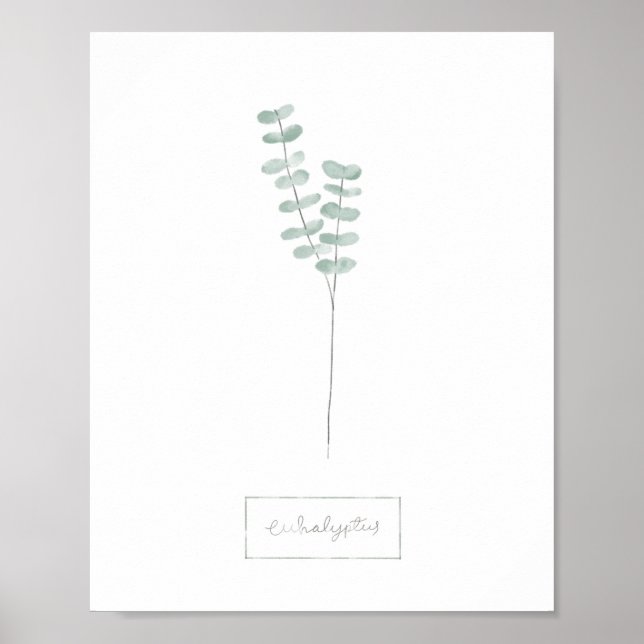 Eucalyptus poster (Frente)