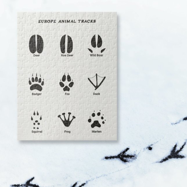 Europa Animal Tracks Quebra-cabeça (Europe Animal Tracks Puzzle)