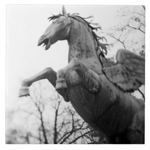 Europa, Áustria, Salzburgo. Estátua de cavalo alad