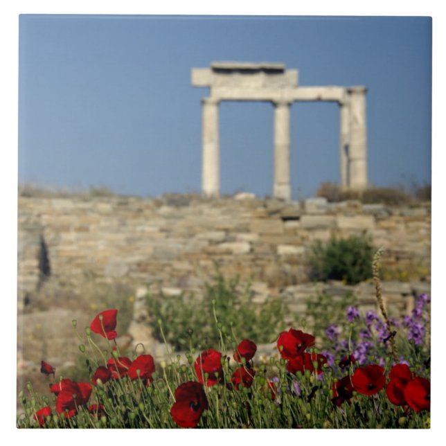 Europa, Grécia, Cíclades, Delos. Ruínas de coluna. (Frente)