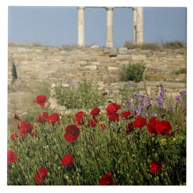 Europa, Grécia, Cíclades, Delos. Ruínas de coluna. (Frente)
