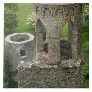 Europa, Irlanda, Castelo de Blarney. ESTA IMAGEM
