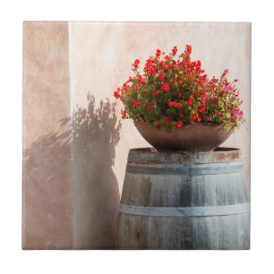 Europa, Itália, Toscana. Vaso de flores