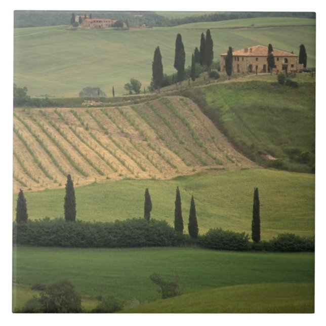 Europa, Itália, Toscânia, Val d'Orcia, Toscana (Frente)