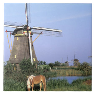 Europa, Países Baixos, Zuid Holland, Kinderdijk.2