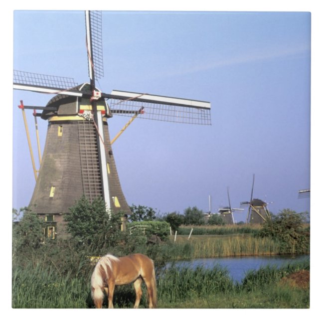 Europa, Países Baixos, Zuid Holland, Kinderdijk.2 (Frente)