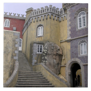 Europa, Portugal, Sintra. Pena Nacional 2