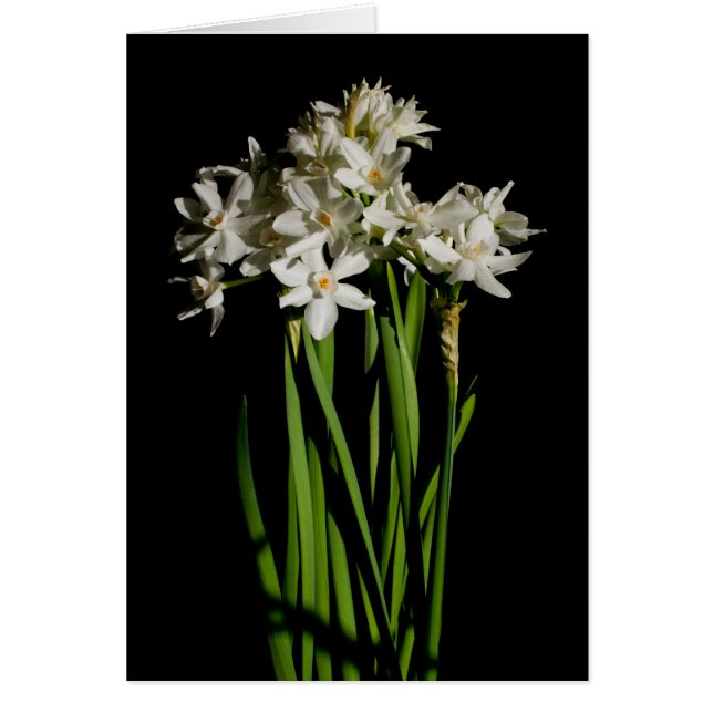 Evento De Primavera De Flor Branco E Cartão De Cas (Frente)