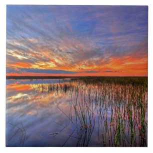 Everglades Coloridos, Flórida,