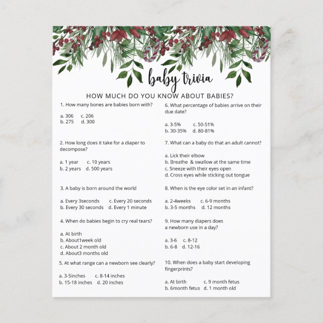 Evergreen Snow Baby Trivia | Jogo Chá de fraldas (Frente)