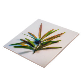 Evergreen Sprig com Azulejo de Berries