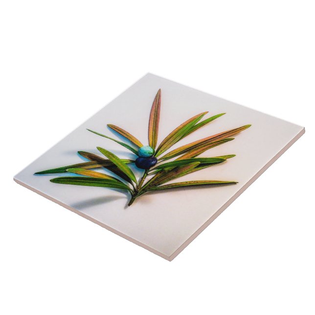 Evergreen Sprig com Azulejo de Berries (Lateral)