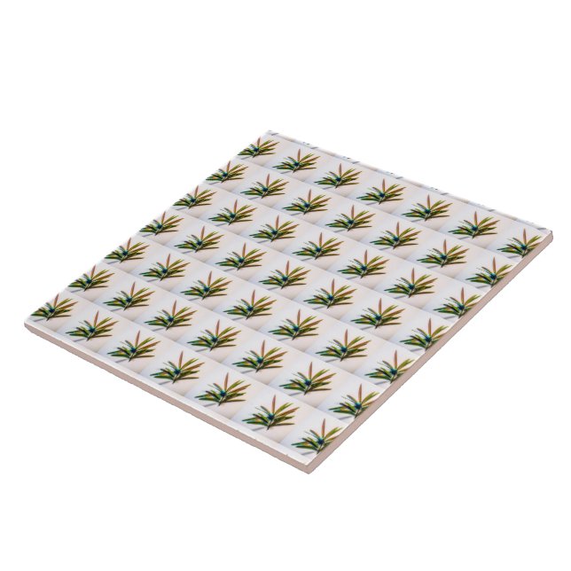 Evergreen Sprig com Azulejo de Cerâmica de Padrão  (Lateral)