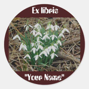Ex-líbris Colírios de Neve