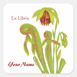 Ex-Libris Pitcher — Adesivos