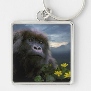 Excelente Apes Gorilla Primate Wildlife Chaveiro