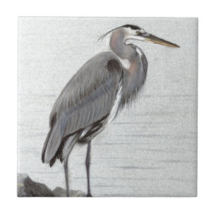 Excelente Blue Heron