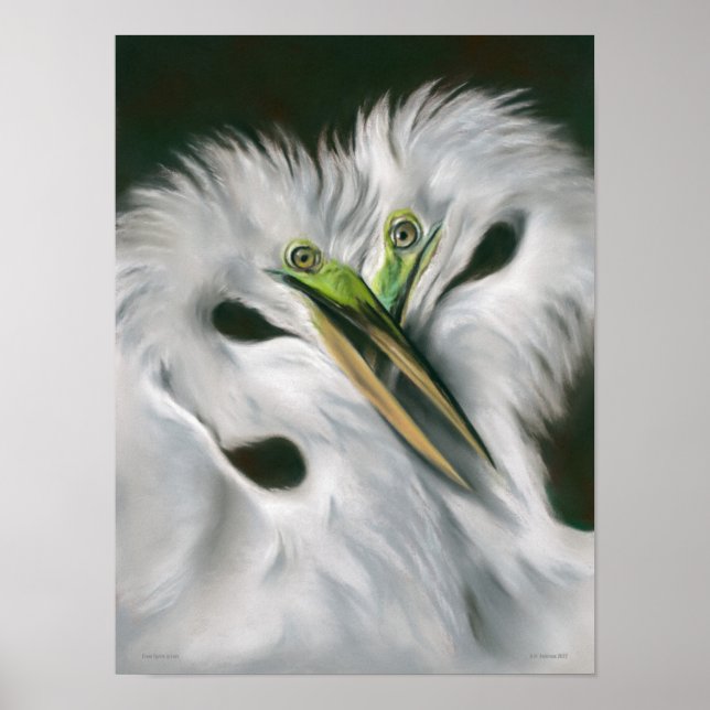 Excelente Egrets in Love Poster (Frente)