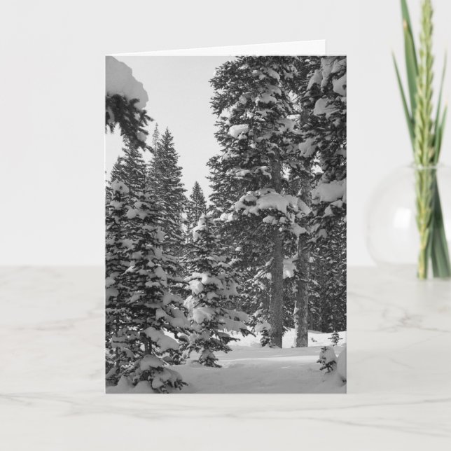 Excelente para ouvir de você! Depois da Modelo de  (Frente)