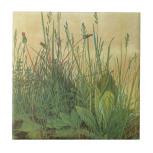 Excelente Peça de Turf por Albrecht Durer, Vintag