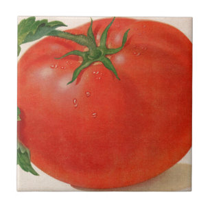 excelente tomate suculento