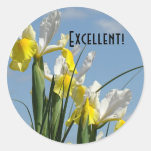 Excelentes adesivos Azul Céu Amarelo Flores Íris