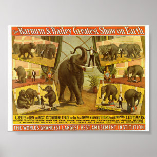Executando Elefantes Barnum & Bailey Circus Poster
