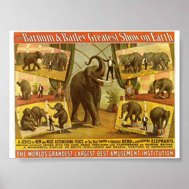 Executando Elefantes Barnum & Bailey Circus Poster (Frente)