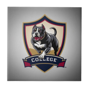 Executando Logotipo da Faculdade PitBull