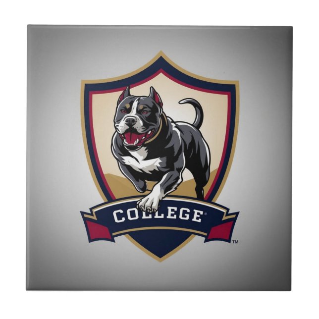 Executando Logotipo da Faculdade PitBull (Frente)