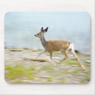 Executando o Mousepad de Desvio