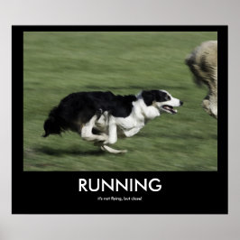 EXECUTANDO poster de demonstração