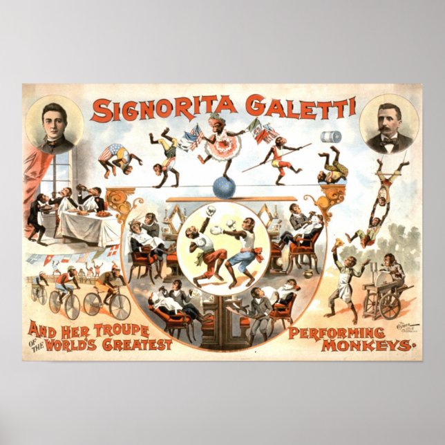 Executando Poster vintage de macacos (Frente)