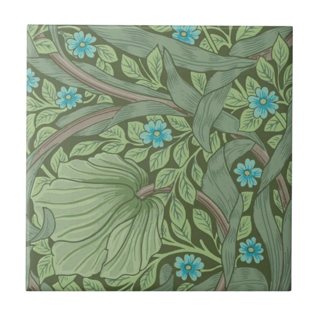 Exemplo de padrão de papel de parede com Forget-Me (Frente)