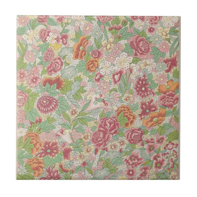 Exemplos de comida chinesa, Pl.77 por Owen Jones (Frente)