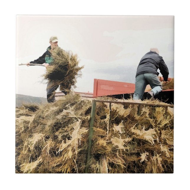 EXPLORAÇÃO (Frente)