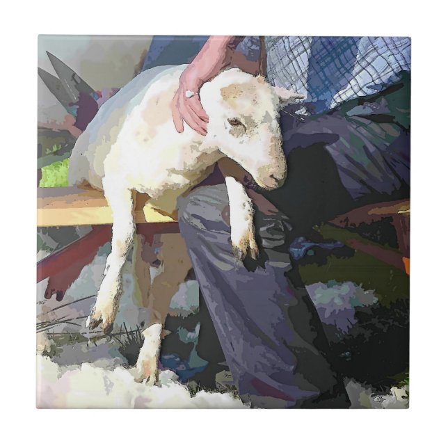 EXPLORAÇÃO (Frente)