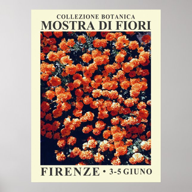 Exposição Floral N.o 3 Poster (Frente)