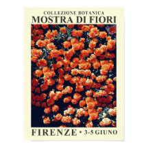 Exposição Floral N.o 3 Poster