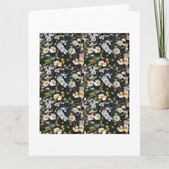 Expresso de Gratidão: Cartões de agradecimentos ch (Frente)