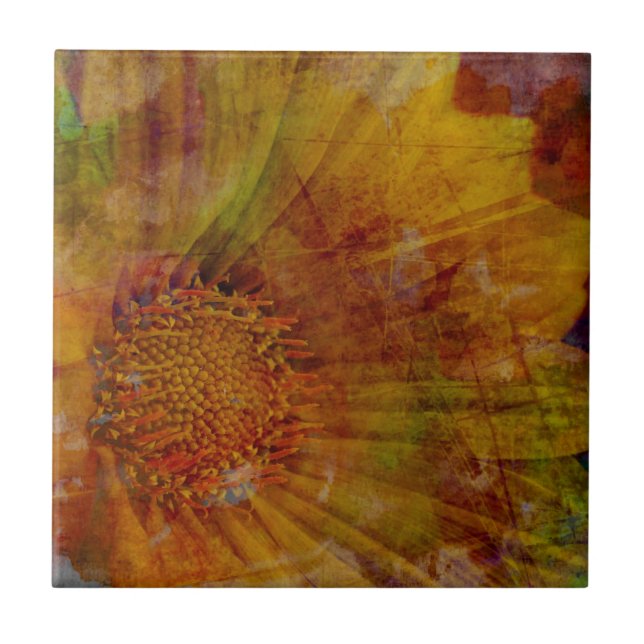 Expressões (Frente)