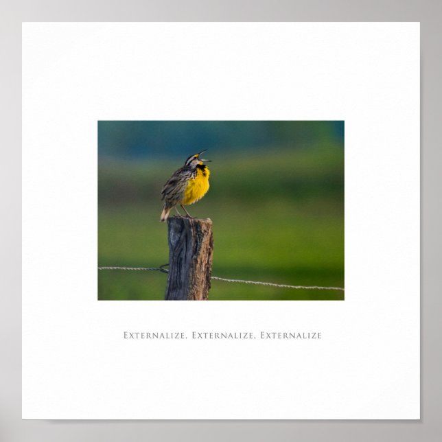 Externalizar, Externalizar, Externalizar Poster (Frente)