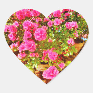 Extravagância no rosa, etiquetas do coração,